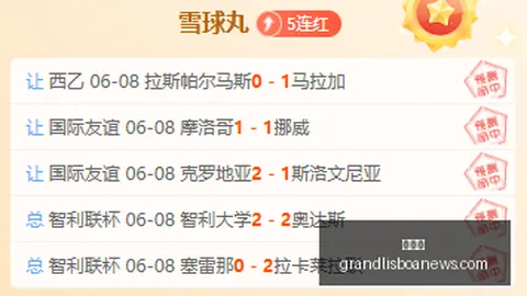 2026最新昨，新葡京，日10胜5谁将成防守黑洞